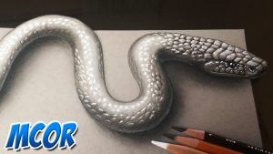 Cómo Dibujar Una Cobra En 3D Fácil Paso a Paso