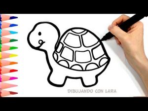 Cómo Dibujar Una Tortuga Paso a Paso Fácil