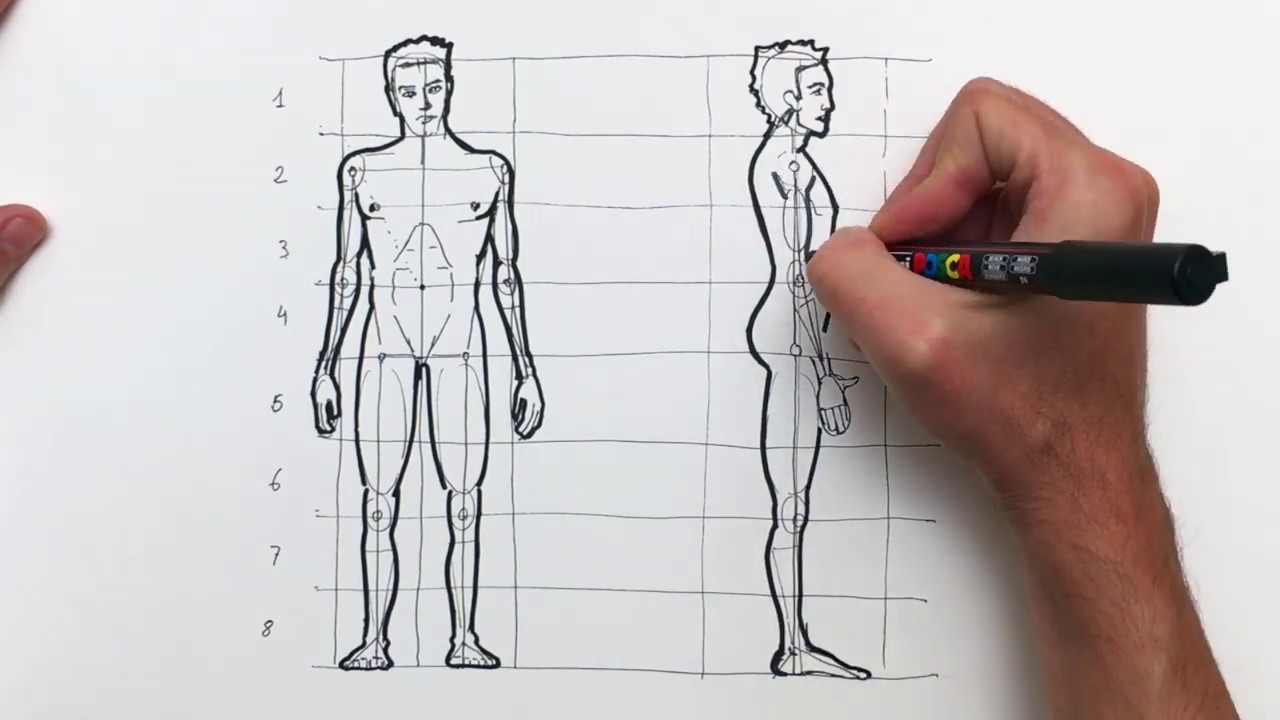 Cómo Dibuja La Figura Humana Paso a Paso Fácil