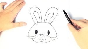 Dibujar Un Conejo Para Niños Fácil Paso a Paso