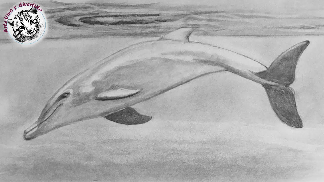 Dibuja Un Delfin A Lápiz Paso a Paso Fácil