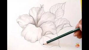 Dibuja Una Flor A Lápiz Fácil Paso a Paso