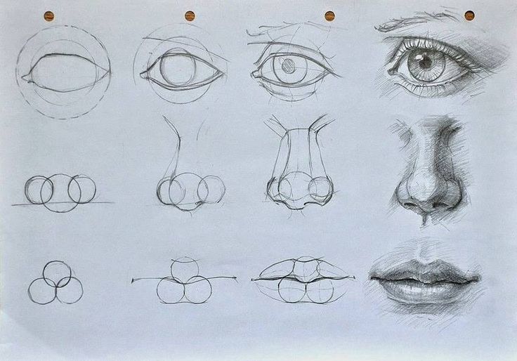 dibujar nariz - Buscar con Google  Dibujar narices  Dibujos  Bocetos, dibujos de Narices, como dibujar Narices paso a paso