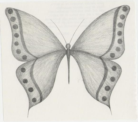 dibujo de una mariposa  HORTIGUELA  Imagenes dibujos a lapiz  Dibujos   Dibujos a lápiz, dibujos de Mariposas A Lápiz, como dibujar Mariposas A Lápiz paso a paso