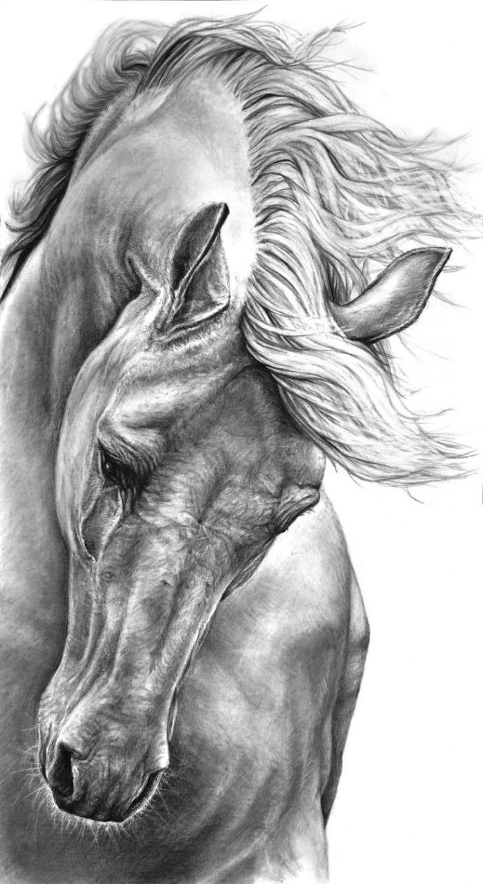 Resultado de imagen para como dibujar un caballo realista  Dibujos de  caballos  Como dibujar un caballo  Pinturas de caballos, dibujos de Un Caballo Realista, como dibujar Un Caballo Realista paso a paso