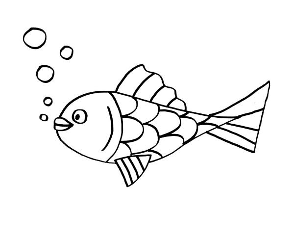 Aprender a dibujar pez payaso - es - hellokids - com, dibujos de E Iluminar Un Pez, como dibujar E Iluminar Un Pez paso a paso