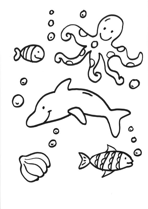 Delfines y animales acuáticos: dibujo para colorear e imprimir, dibujos de Animales Acuáticos, como dibujar Animales Acuáticos paso a paso