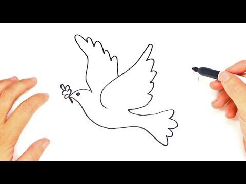 Cómo dibujar una Paloma  Dibujo fácil de una paloma paso a paso - YouTube   Paloma de la paz  Dibujos de palomas  Dibujos de la paz, dibujos de Palomas, como dibujar Palomas paso a paso