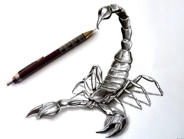 Resultado de imagen para tattoo scorpion 3d  Tatuaje de escorpión  Bocetos  tatuajes  Escorpion dibujo, dibujos de Un Escorpión En 3D, como dibujar Un Escorpión En 3D paso a paso