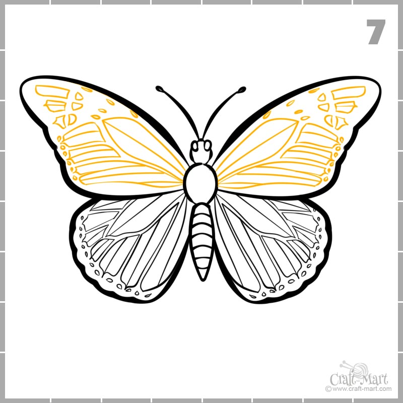 Dibujar patrón de alas de mariposa