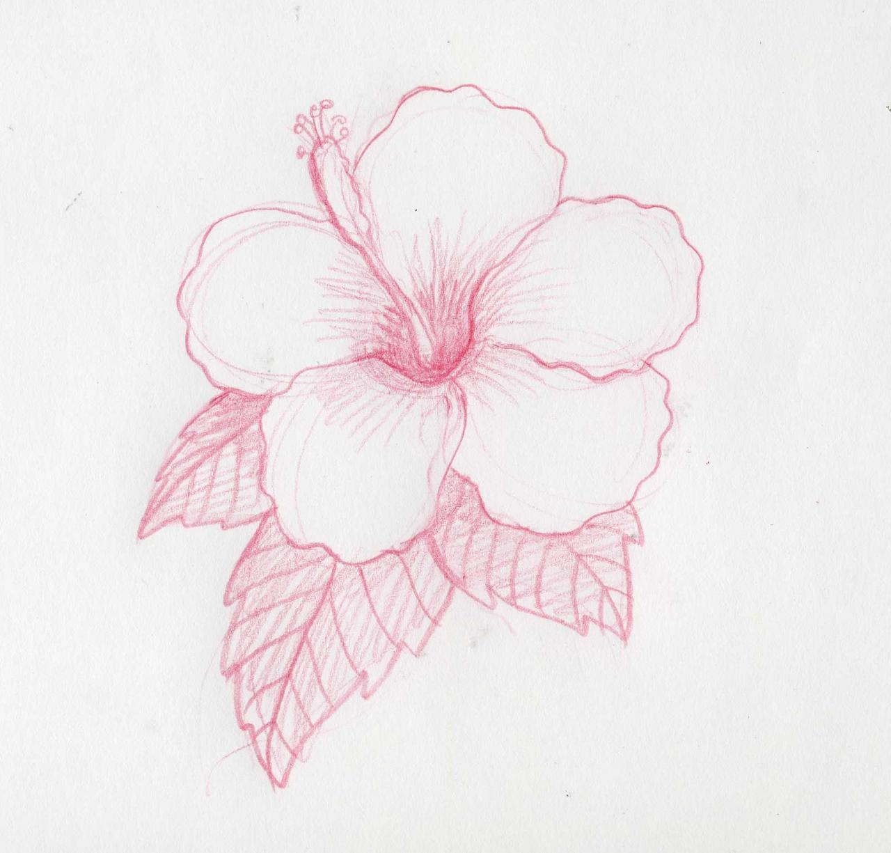 Cómo dibujar flores hawaianas  Como dibujar flores  Flores dibujadas a  lapiz  Flores a lapiz, dibujos de Una Flor Realista, como dibujar Una Flor Realista paso a paso