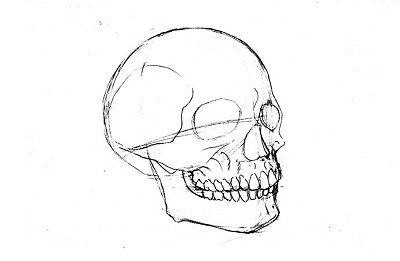 Dibujo detallado de estructura metálica de un cráneo humano