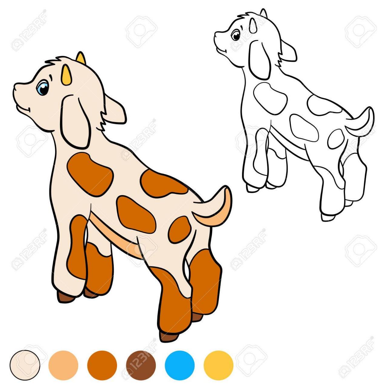 Dibujo para colorear -  Color me: cabra -  Pequeños lindo se encuentra de  cabrito y sonrisas -, dibujos de Cabritos, como dibujar Cabritos paso a paso