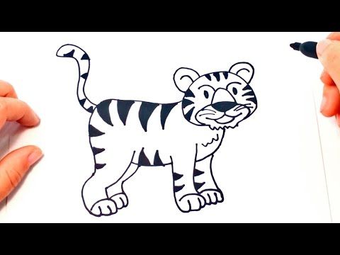 Cómo dibujar un Tigre paso a paso  Dibujo fácil de Tigre - YouTube  Como  dibujar un tigre  Tigre para dibujar  Dibujo tigre, dibujos de A Un Tigre, como dibujar A Un Tigre paso a paso