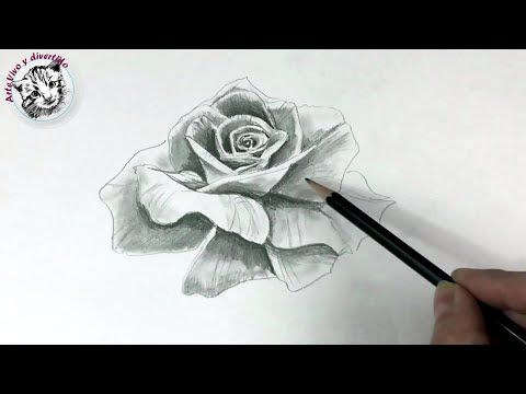 Como Dibujar una Rosa Realista con Un solo Lapiz - YouTube  Como dibujar  rosas  Dibujos de rosas  Rosas realistas, dibujos de Una Rosa Realista, como dibujar Una Rosa Realista paso a paso