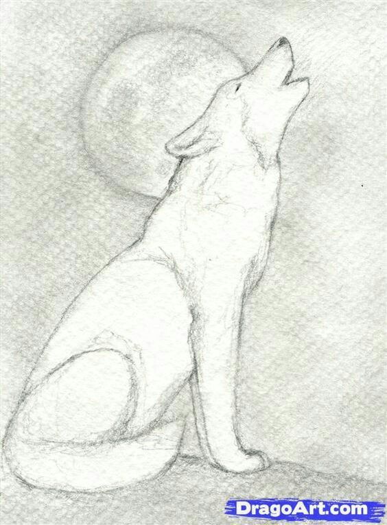 Lobo aullando a la luna  Lobos para dibujar  Cómo dibujar un lobo  Dibujos  a lápiz, dibujos de Un Lobo Aullando, como dibujar Un Lobo Aullando paso a paso