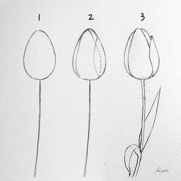 ▷ 1001 + ideas de dibujos de flores fáciles y bonitos, dibujos de Un Tulipán A Lápiz, como dibujar Un Tulipán A Lápiz paso a paso