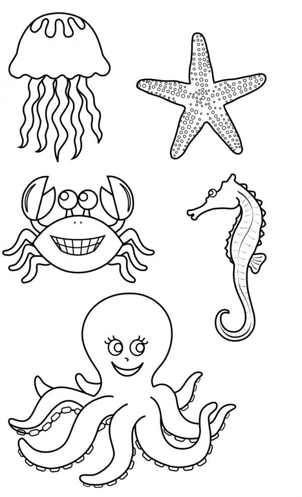 Dibujos de animales marinos para pintar  Dibujos de animales  Animales  marinos  Mar para colorear, dibujos de Animales Acuáticos, como dibujar Animales Acuáticos paso a paso