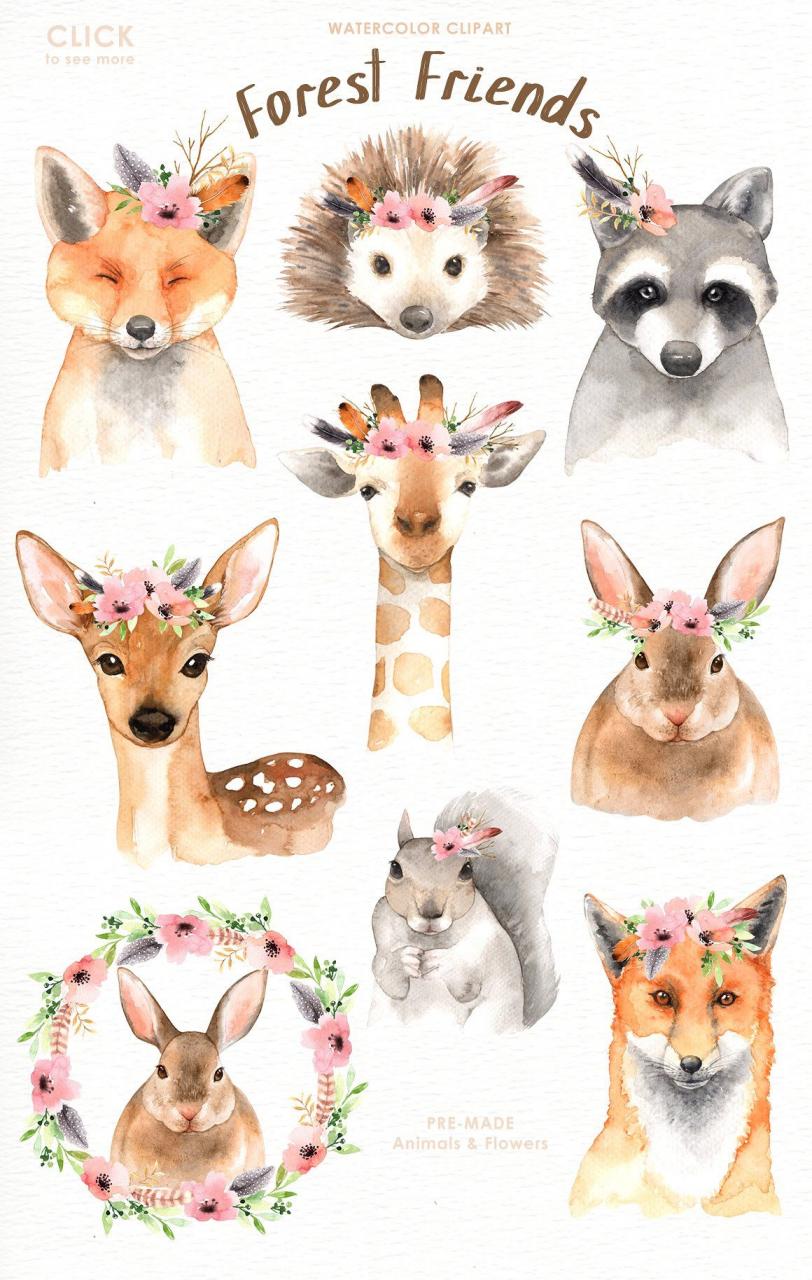 Forest Friends Watercolor Clip Art  Animales acuarela  Dibujo de animales   Dibujo animales infantiles, dibujos de Forest Friends, como dibujar Forest Friends paso a paso