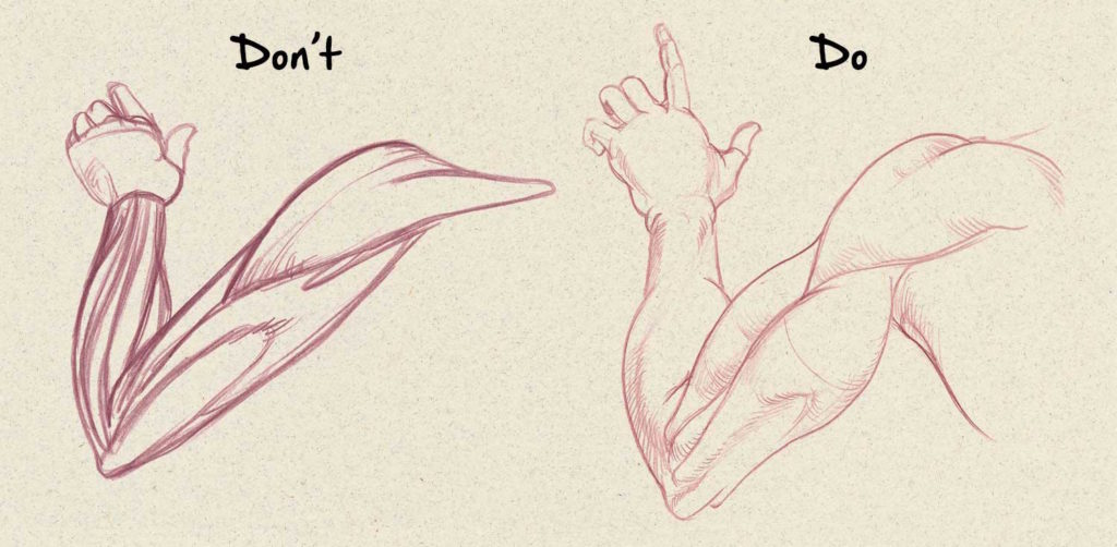 Músculos Dibujo de anatomía para principiantes: 5 cosas que se deben y no se deben hacer por Jeff Mellem | Red de artistas