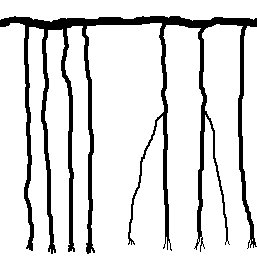 Esquema de un quipu liso -   Download Scientific Diagram, dibujos de Quipus, como dibujar Quipus paso a paso