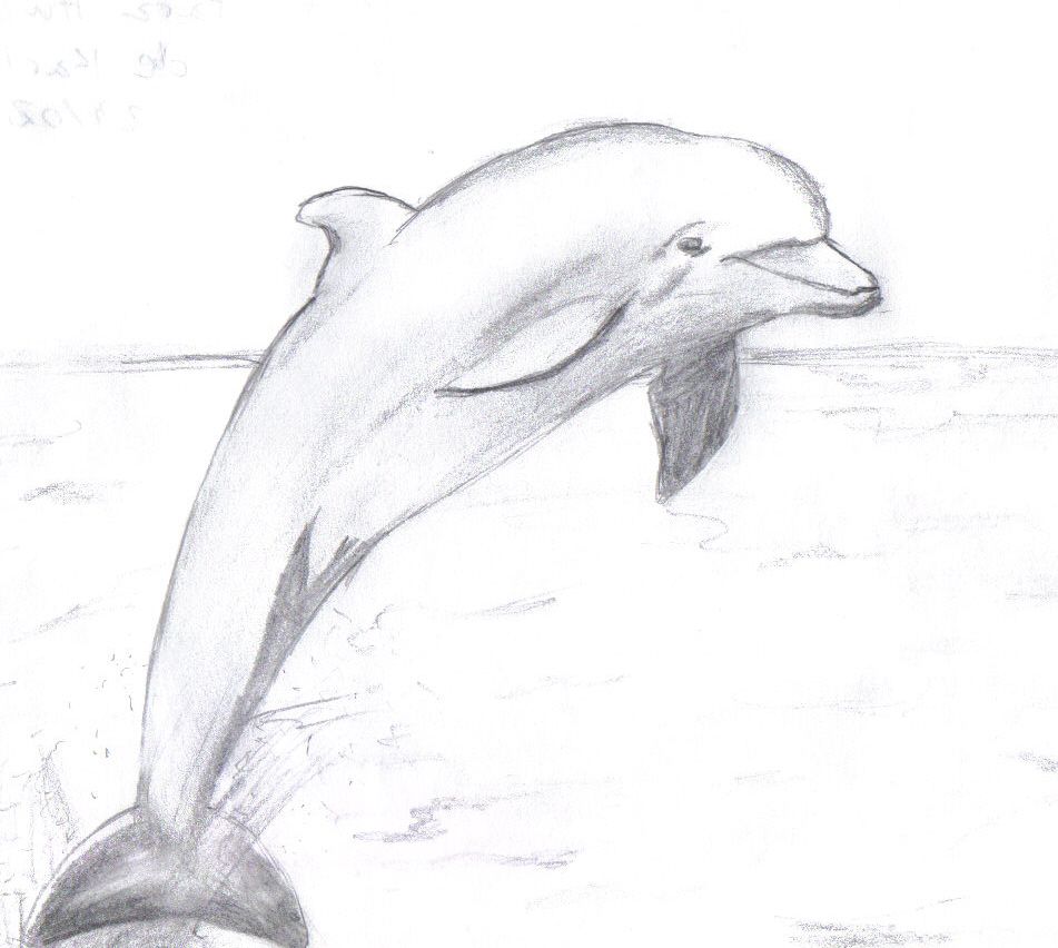 Resultado de imagen para delfin a lapiz  Delfin dibujo  Dibujos  Dibujos a  lápiz, dibujos de Un Delfin A Lápiz, como dibujar Un Delfin A Lápiz paso a paso