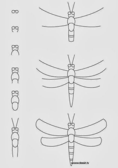 The Palmer's: Hazlo tu misma  Dragonfly drawing  Drawing tutorial  Drawing  for kids, dibujos de Una Libélula, como dibujar Una Libélula paso a paso