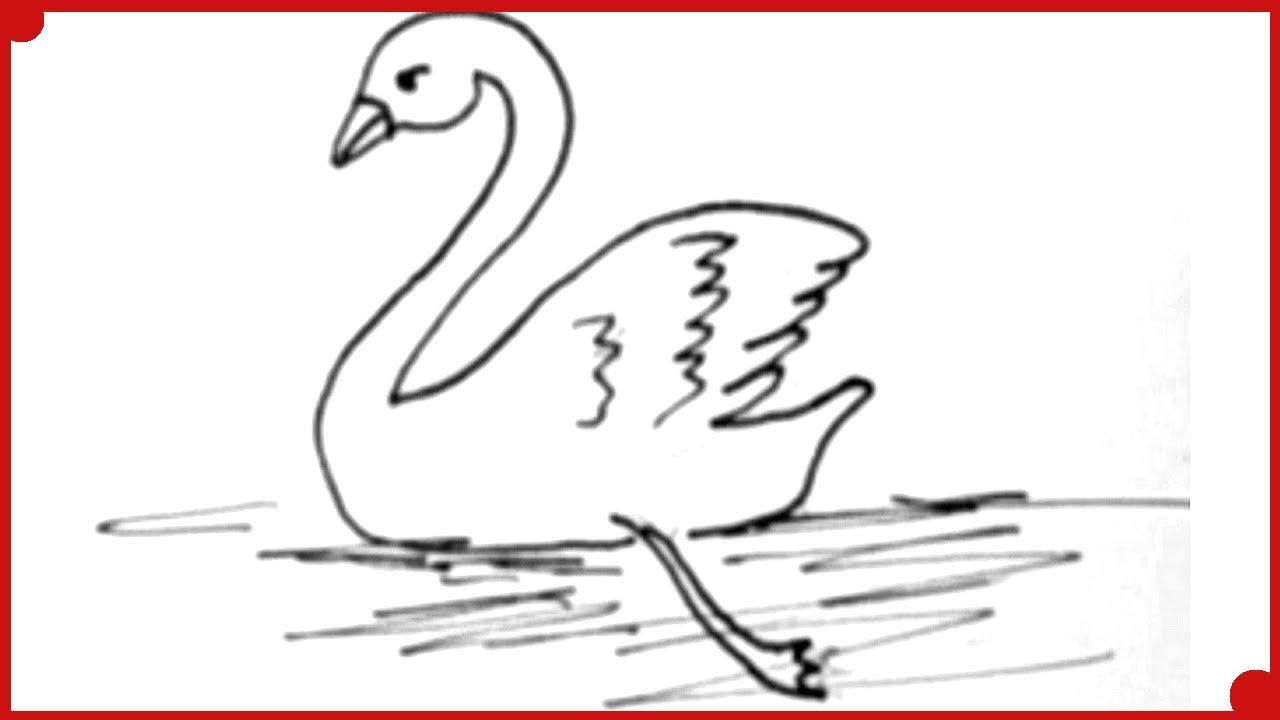 Como Dibujar un Cisne Paso a Paso y Muy Facil Acelerado  Time Lapse: Dib -  -  -    Como dibujar animales  Dibujos  Cómo dibujar, dibujos de Un Cisne, como dibujar Un Cisne paso a paso