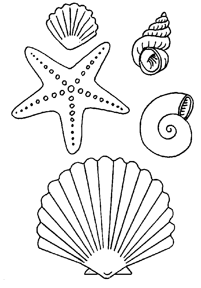 Dibujo para colorear: Estrella de mar (Animales) #32 - Páginas para  colorear  Conchas de mar dibujo  Mar para colorear  Estrellas de mar  dibujos, dibujos de Una Estrella De Mar, como dibujar Una Estrella De Mar paso a paso