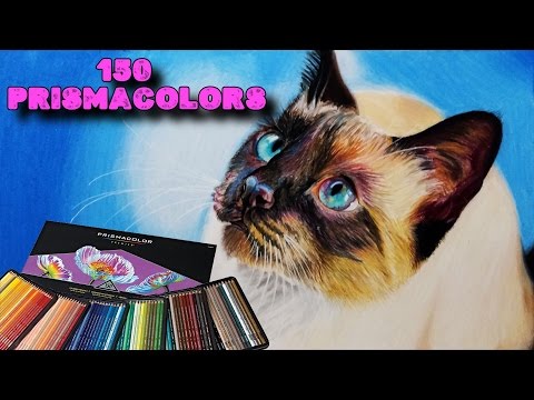 Como dibujar un Gato siamés realista con lápices de colores, dibujos de Un Gato Siamés Realista Con Lápices De Colores, como dibujar Un Gato Siamés Realista Con Lápices De Colores paso a paso