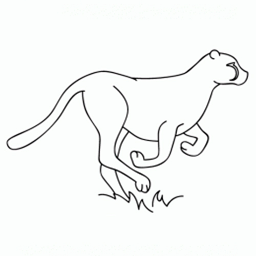 Cómo dibujar un Guepardo ✍  COMODIBUJAR - CLUB, dibujos de Un Guepardo, como dibujar Un Guepardo paso a paso