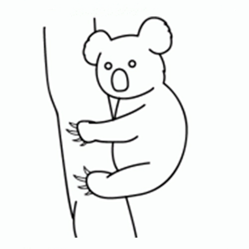 Cómo dibujar un Koala ✍  COMODIBUJAR - CLUB, dibujos de Un Koala, como dibujar Un Koala paso a paso