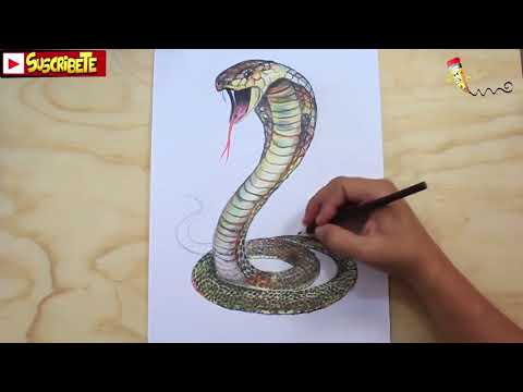 Como dibujar una Cobra en 3D, dibujos de Una Cobra En 3D, como dibujar Una Cobra En 3D paso a paso