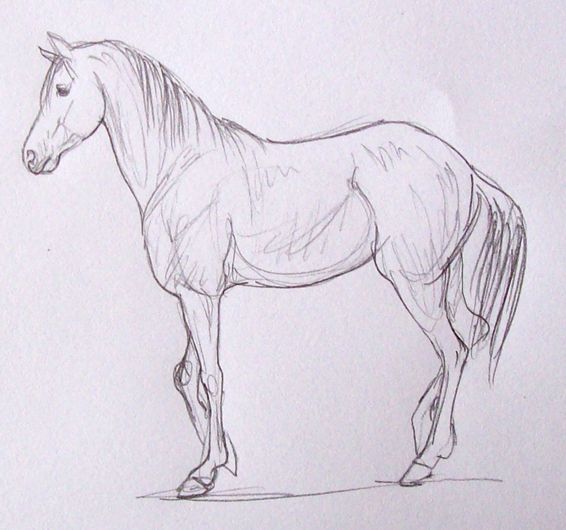 Como dibujar un caballo sencillo - Imagui  Dibujos de caballos  Como  dibujar un caballo  Bocetos de animales, dibujos de Un Caballo A Lápiz, como dibujar Un Caballo A Lápiz paso a paso