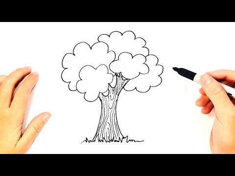 Cómo dibujar un Arbol paso a paso  Dibujo fácil de Arbol - YouTube   Dibujos  Como dibujar arboles  Animales faciles de dibujar, dibujos de Árboles, como dibujar Árboles paso a paso