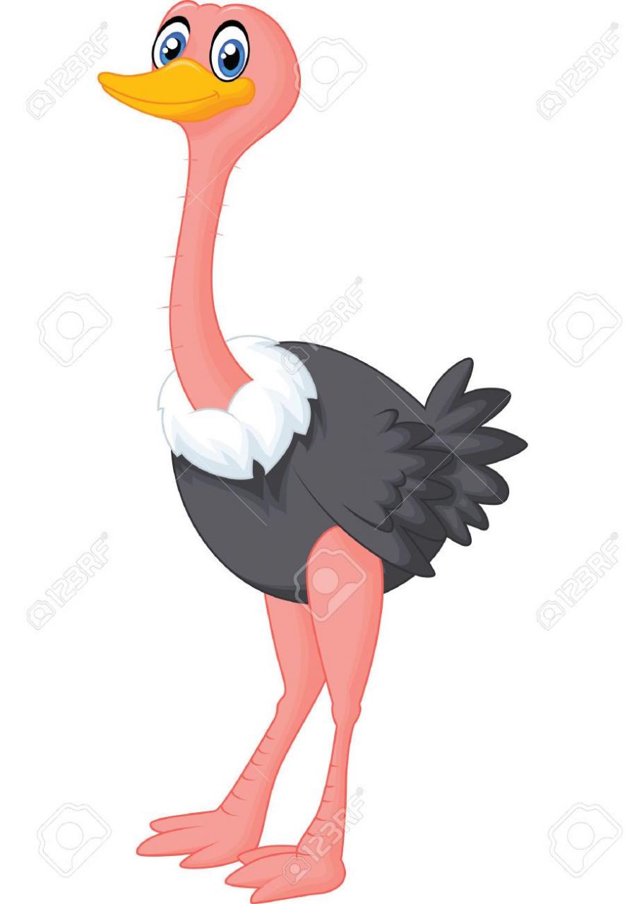 27657267-Avestruz-linda-de-dibujos-animados-Foto-de-archivo - jpg (927×1300)   Dibujos de animales  Ñandu dibujo  Dibujos de avestruz, dibujos de Un Ñandú, como dibujar Un Ñandú paso a paso
