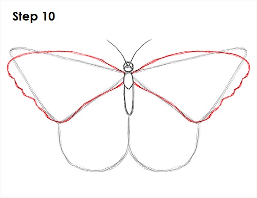 Dibujar Mariposa 10
