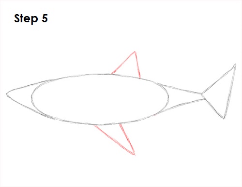 Dibujar gran tiburón blanco 5