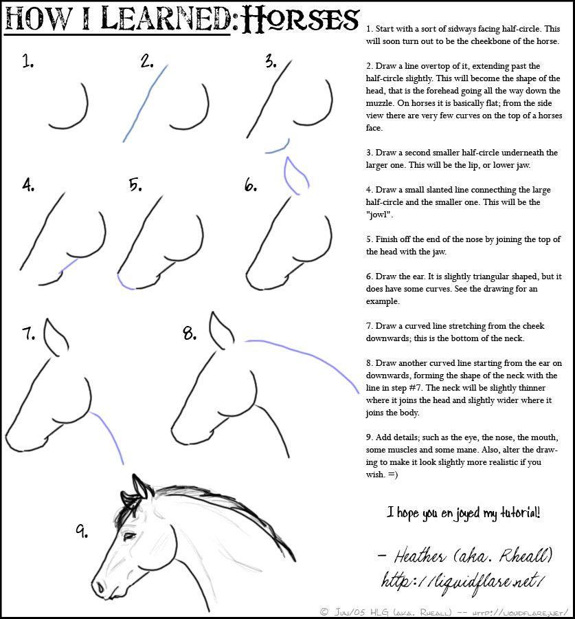 Como dibujar rostro caballo FACIL  Dibujos de caballos  Como dibujar un  caballo  Dibujos, dibujos de La Cara De Un Caballo, como dibujar La Cara De Un Caballo paso a paso