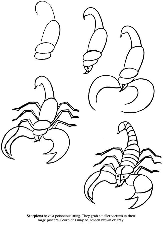 2016-10)  -  -  -  en skorpion  Como dibujar animales faciles  Dibujos fáciles  Como  dibujar animales, dibujos de Un Escorpión, como dibujar Un Escorpión paso a paso