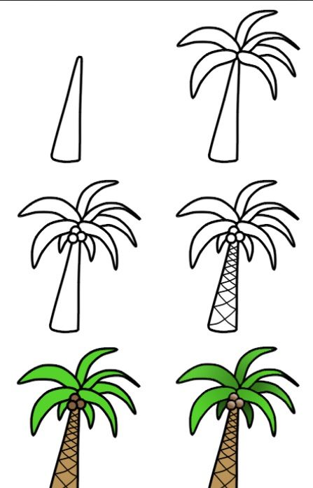 Como dibujar una palmera  Dibujos fáciles  Dibujos fáciles de hacer   Dibujos de árboles, dibujos de Palmeras, como dibujar Palmeras paso a paso