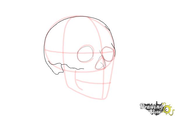 Cómo dibujar una calavera paso a paso - Paso 5 Cómo dibujar una calavera paso a paso - Paso 5