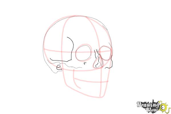 Cómo dibujar una calavera paso a paso - Paso 6 Cómo dibujar una calavera paso a paso - Paso 6