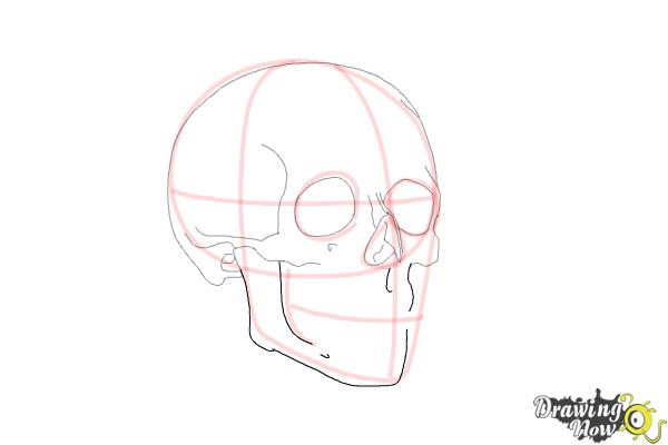 Cómo dibujar una calavera paso a paso - Paso 7 Cómo dibujar una calavera paso a paso - Paso 7