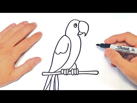 Cómo dibujar un Loro Paso a Paso  Dibujo de Loro - YouTube, dibujos de Un Loro, como dibujar Un Loro paso a paso
