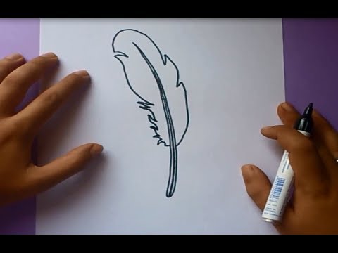 Como dibujar una pluma paso a paso  How to draw a feather, dibujos de Plumas, como dibujar Plumas paso a paso