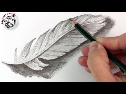 Como Dibujar una pluma a Lapiz  Tecnicas de Dibujo con Lapiz - YouTube, dibujos de Plumas, como dibujar Plumas paso a paso