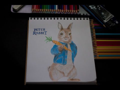 Dibujando dibujos animados peter rabbit la pelicula speed drawing peter  rabbit, dibujos de Peter Rabbit, como dibujar Peter Rabbit paso a paso