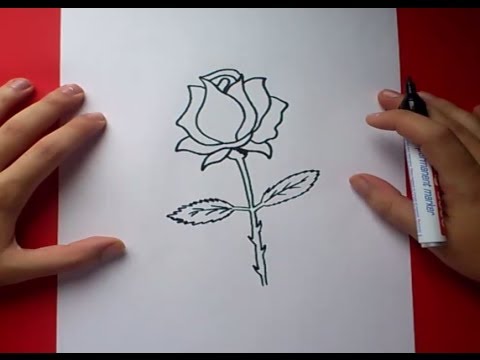 Como dibujar una rosa paso a paso 3  How to draw a rose 3, dibujos de Una Rosa Sencilla, como dibujar Una Rosa Sencilla paso a paso