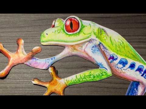 Speed Draw 3D frog  Dibujando Rana 3D - YouTube, dibujos de Una Rana En 3D, como dibujar Una Rana En 3D paso a paso